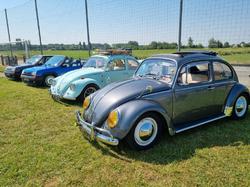  <a style='color: #fff;' href='/uploaded/photo/2y-me-exposition-y-neuve-chapelle-6486df917777b.jpg'>(Télécharger)</a>