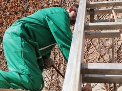  <a style='color: #fff;' href='/uploaded/photo/debarras-et-debut-des-travaux-au-local-5f19b34c6ea90.jpg'>(Télécharger)</a>