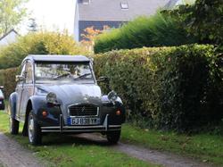  <a style='color: #fff;' href='/uploaded/photo/ducasse-de-fleurbaix-6502b3d62fefc.jpg'>(Télécharger)</a>