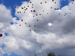  <a style='color: #fff;' href='/uploaded/photo/ducasse-de-fleurbaix-le-1er-septembre-2019-5d6cda0ca4788.jpg'>(Télécharger)</a>