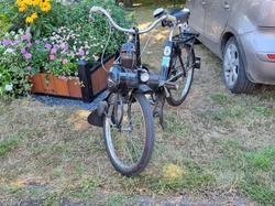  <a style='color: #fff;' href='/uploaded/photo/expo-2022-la-fosse-lestrem-62e63e746c57a.jpg'>(Télécharger)</a>