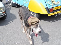  <a style='color: #fff;' href='/uploaded/photo/expo-bourse-du-22-avril-2018-5ae49b9c2b480.jpg'>(Télécharger)</a>