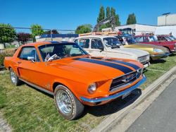  <a style='color: #fff;' href='/uploaded/photo/expo-hallennes-lez-hubourdin-6814d57c89169.jpg'>(Télécharger)</a>