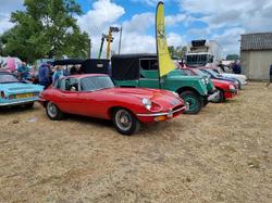  <a style='color: #fff;' href='/uploaded/photo/expo-sec-bois-2023-64bbb8f49576e.jpg'>(Télécharger)</a>