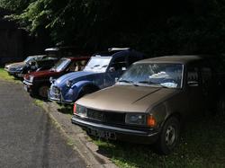  <a style='color: #fff;' href='/uploaded/photo/exposition-berthen-66853b26727f8.jpg'>(Télécharger)</a>