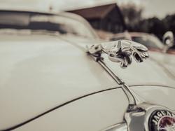  <a style='color: #fff;' href='/uploaded/photo/exposition-mont-bernanchon-67039b5ed5916.jpg'>(Télécharger)</a>