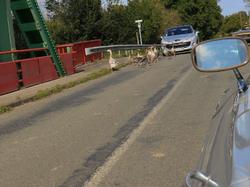  <a style='color: #fff;' href='/uploaded/photo/exposition-mont-bernanchon-67039b5ed8711.jpg'>(Télécharger)</a>