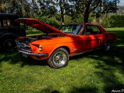  <a style='color: #fff;' href='/uploaded/photo/exposition-mont-bernanchon-67039b5fe2bf7.jpg'>(Télécharger)</a>