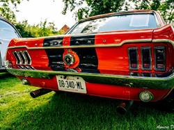  <a style='color: #fff;' href='/uploaded/photo/exposition-mont-bernanchon-67039b5fefb06.jpg'>(Télécharger)</a>