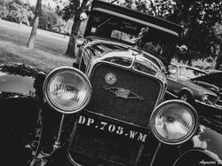  <a style='color: #fff;' href='/uploaded/photo/exposition-mont-bernanchon-67039b602bfe8.jpg'>(Télécharger)</a>