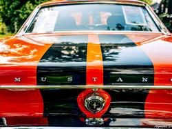  <a style='color: #fff;' href='/uploaded/photo/exposition-mont-bernanchon-67039b605000d.jpg'>(Télécharger)</a>