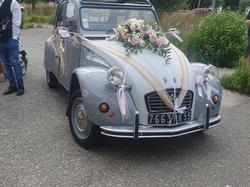  <a style='color: #fff;' href='/uploaded/photo/mariage-d-aymeric-64a270e5cde72.jpg'>(Télécharger)</a>