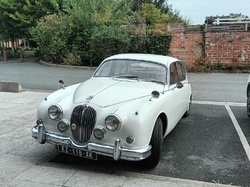  <a style='color: #fff;' href='/uploaded/photo/mariage-de-beatrice-et-dominique-63426d69eb39c.jpg'>(Télécharger)</a>