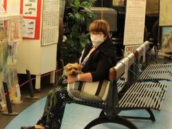  <a style='color: #fff;' href='/uploaded/photo/musee-automobile-de-valencay-640efa203ab76.jpg'>(Télécharger)</a>