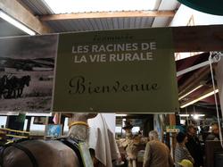  <a style='color: #fff;' href='/uploaded/photo/rangement-des-bielles-2025-6931a0bcc0407.jpg'>(Télécharger)</a>