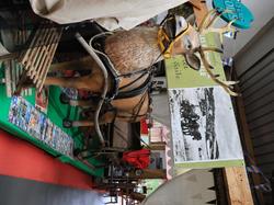  <a style='color: #fff;' href='/uploaded/photo/rangement-des-bielles-2025-6931a0bd6369e.jpg'>(Télécharger)</a>