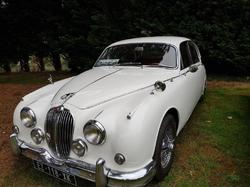  <a style='color: #fff;' href='/uploaded/photo/sortie-degommage-du-5-juillet-2020-5f19ae972c282.jpg'>(Télécharger)</a>