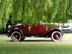  <a style='color: #fff;' href='/uploaded/photo/sortie-degommage-du-5-juillet-2020-5f19ae99238f7.jpg'>(Télécharger)</a>