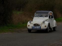  <a style='color: #fff;' href='/uploaded/photo/sortie-dy-gommage-le-10-03-2024-6601a4ec265d3.jpg'>(Télécharger)</a>