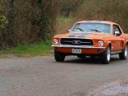  <a style='color: #fff;' href='/uploaded/photo/sortie-dy-gommage-le-10-03-2024-6601a4eca9daa.jpg'>(Télécharger)</a>